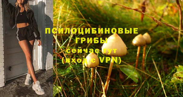 ПСИЛОЦИБИНОВЫЕ ГРИБЫ Алексеевка