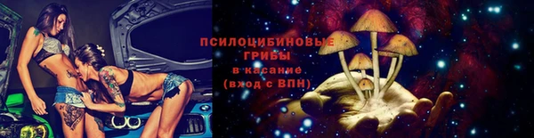 ПСИЛОЦИБИНОВЫЕ ГРИБЫ Алексеевка