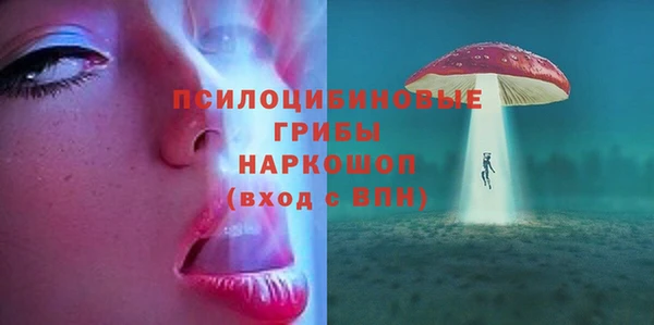 ПСИЛОЦИБИНОВЫЕ ГРИБЫ Алексин