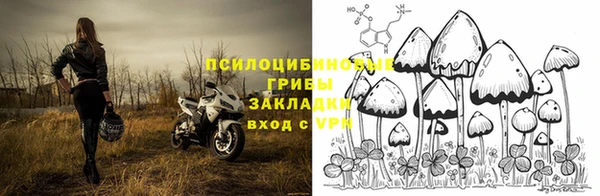 ПСИЛОЦИБИНОВЫЕ ГРИБЫ Алексеевка