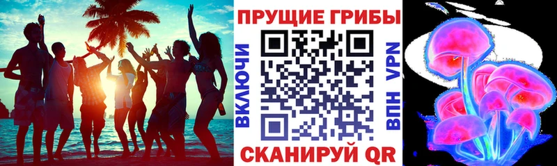 наркошоп  Макушино  Галлюциногенные грибы GOLDEN TEACHER 