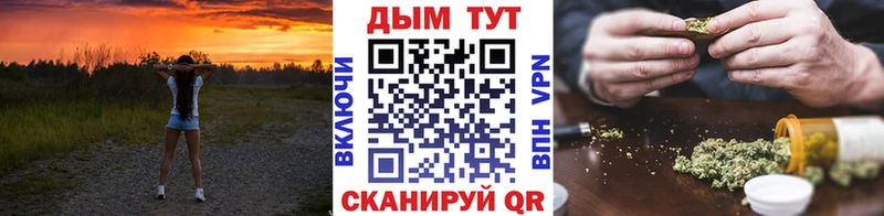 Бошки Шишки планчик  Макушино 